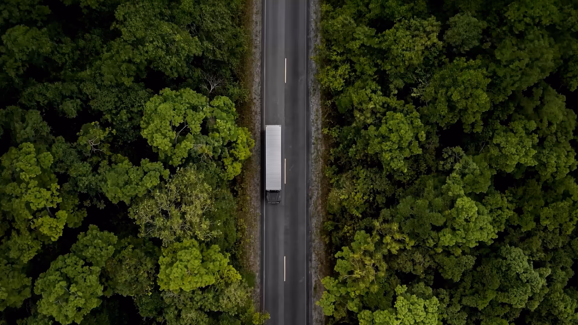 A truck driving on a narrow road surrounded by dense green forest, viewed from above.